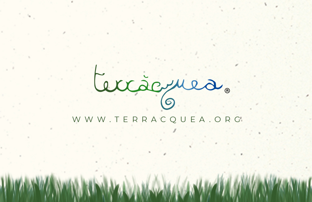 Brand design Silvia Nichita